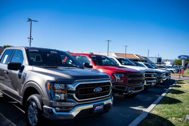 Car Truck SUV Detailing